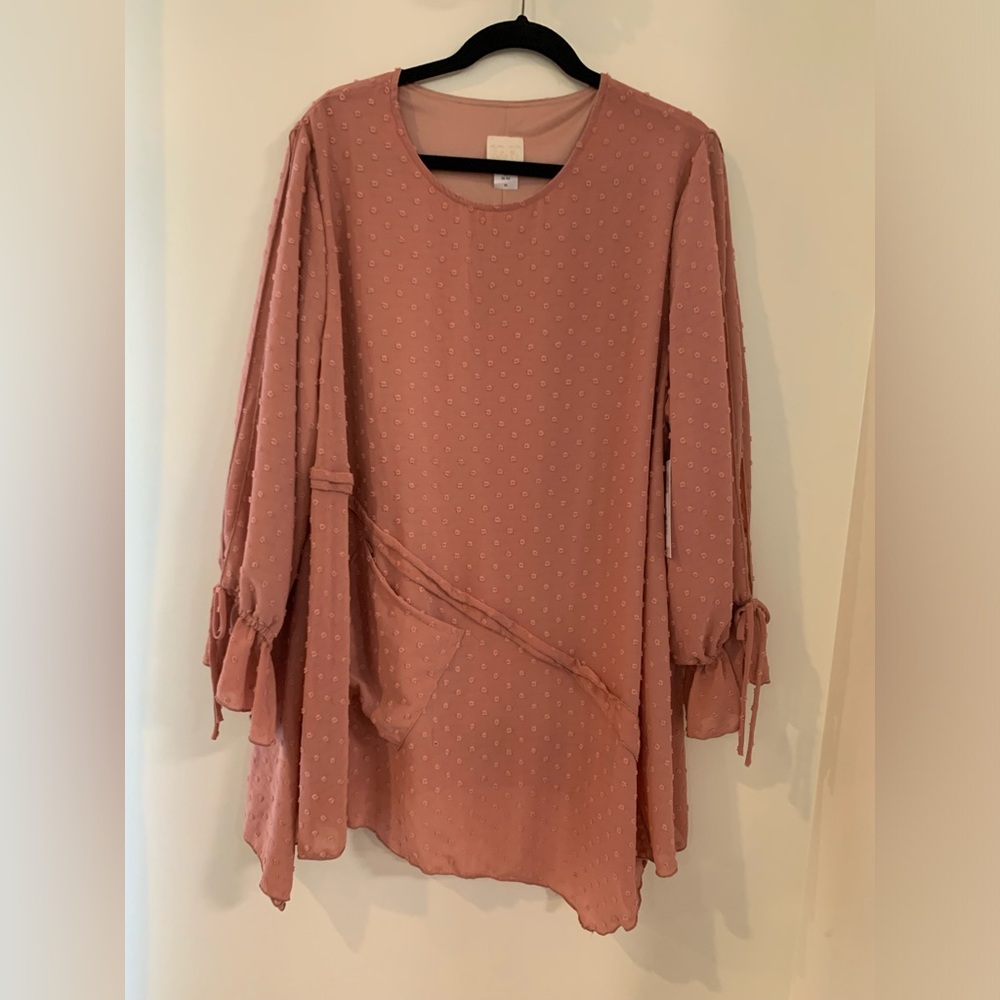 Zadie B’s Mauve Swiss Dot Top 3x